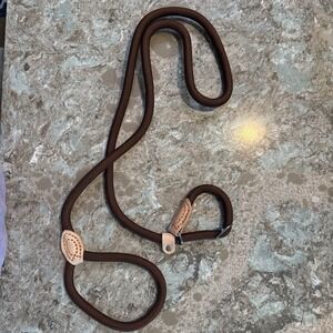 5' Nylon Leather Slip Lead Dog Leash Brown Dog Training Walking Exercise